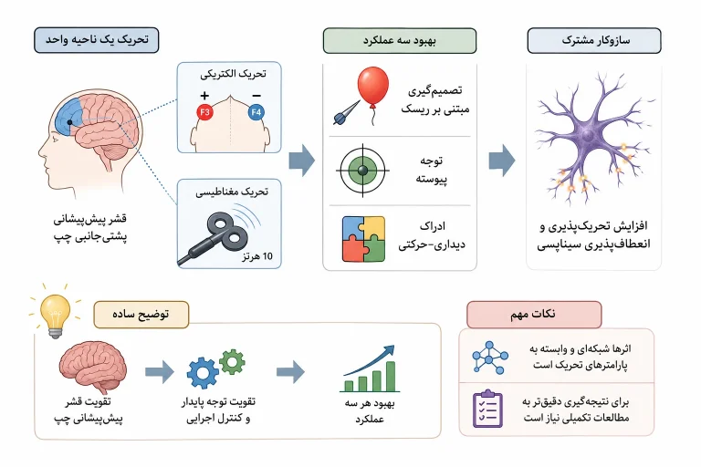 تصویرسازی مفهومی رسالهٔ دکترا: تحریک قشر پیش‌پیشانی پشتی‌جانبی چپ با tDCS یا rTMS و بهبود سه کارکرد شناختی